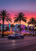 Póster de lujo Miami