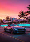 Póster de lujo Miami