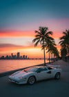 Póster de lujo Miami